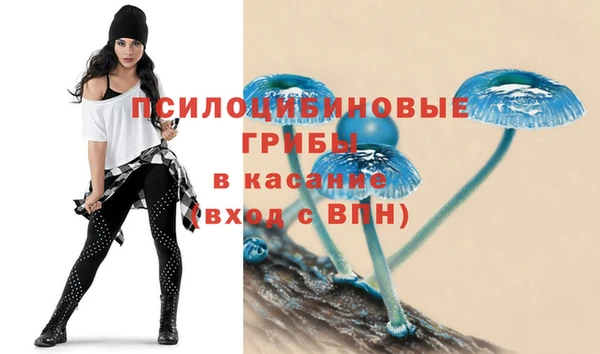 индика Ладушкин