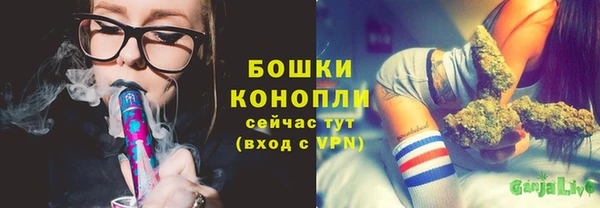 spice Лагань