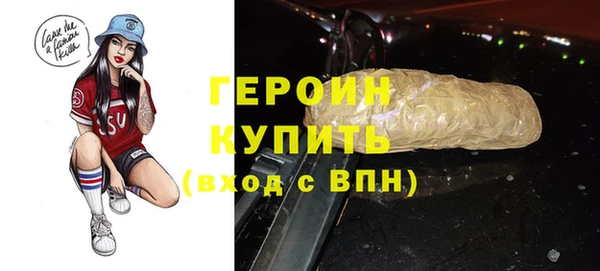индика Ладушкин