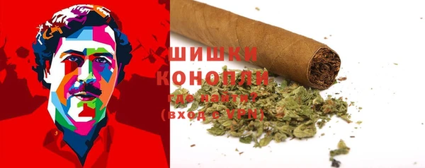 spice Лагань