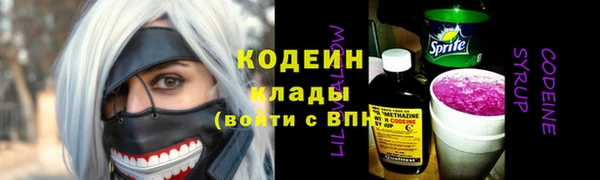 индика Ладушкин