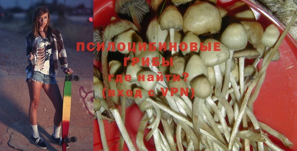 индика Ладушкин