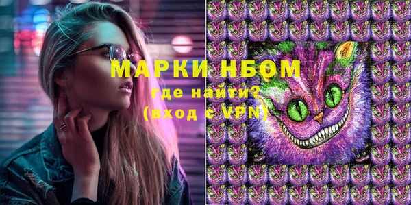 индика Ладушкин