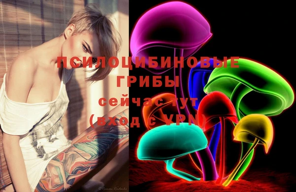 индика Ладушкин