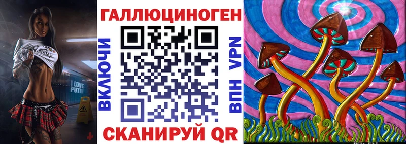 Галлюциногенные грибы Magic Shrooms  Купить закладки  Димитровград 